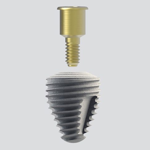 Wide implant with cover screw_gray